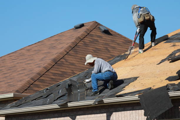 Best Roof Leak Repair  in Fritz Creek, AK